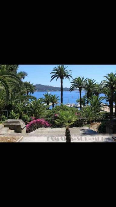 Le Dyonisos Et Piscine Apartamento La Seyne-sur-Mer Exterior foto