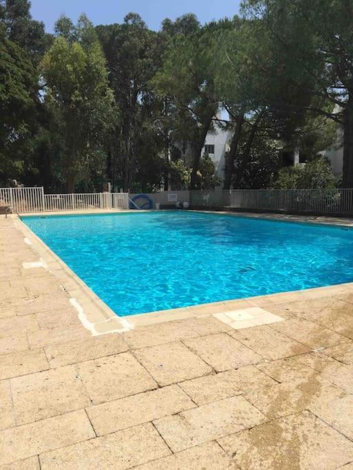 Le Dyonisos Et Piscine Apartamento La Seyne-sur-Mer Exterior foto
