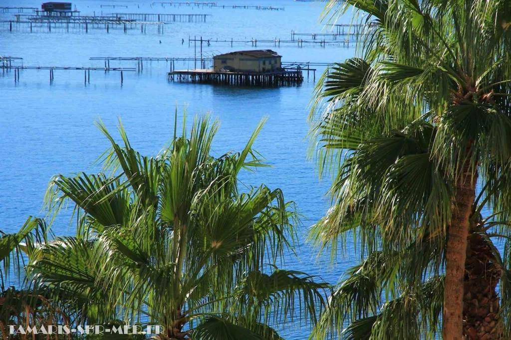 Le Dyonisos Et Piscine Apartamento La Seyne-sur-Mer Exterior foto